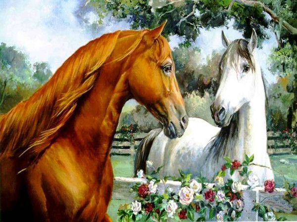 belle images "chevaux"