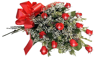 roses rouges