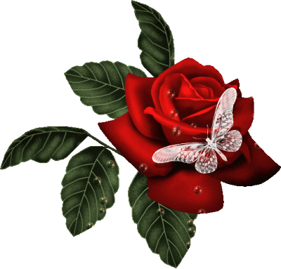 roses rouges