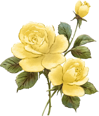 Résultat d’images pour Gifs Roses jaunes